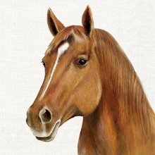 Салфетки 20бр Farm Horse екрю